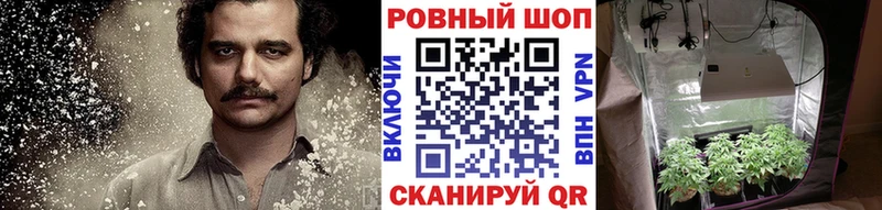 Наркошоп купить Гашиш  Марихуана  Амфетамин  Меф  Кокаин  Азов