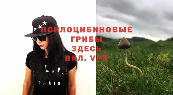 мяу мяу мука Инсар