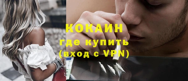 мяу мяу мука Инсар