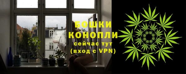 мяу мяу мука Инсар
