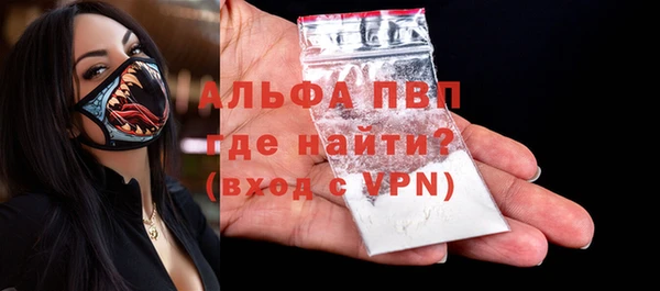 мяу мяу мука Инсар