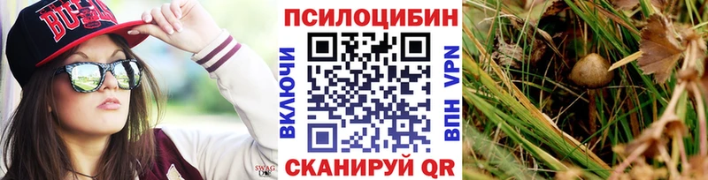 Галлюциногенные грибы прущие грибы  Купить  Азов 